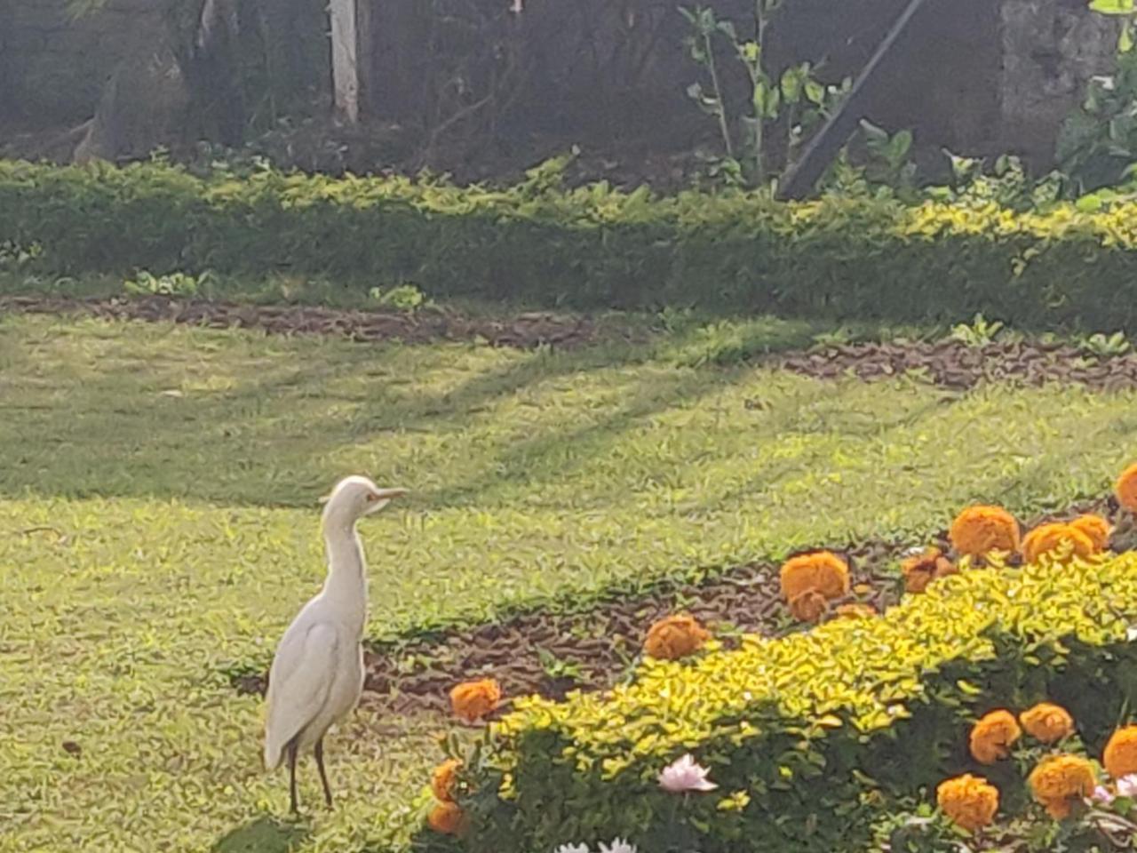 Heritage Homestay Jammu Esterno foto