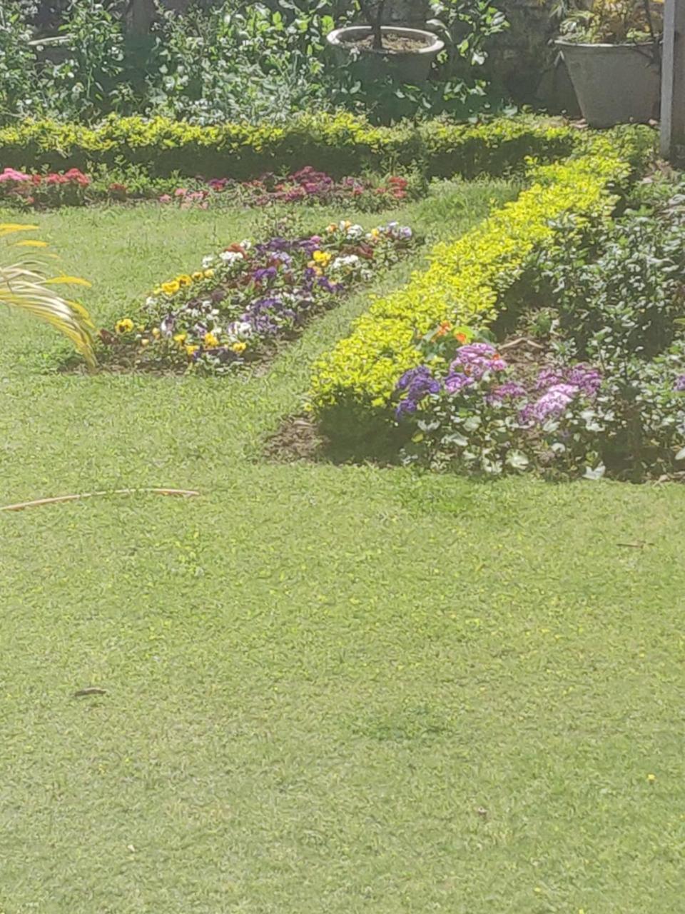 Heritage Homestay Jammu Esterno foto