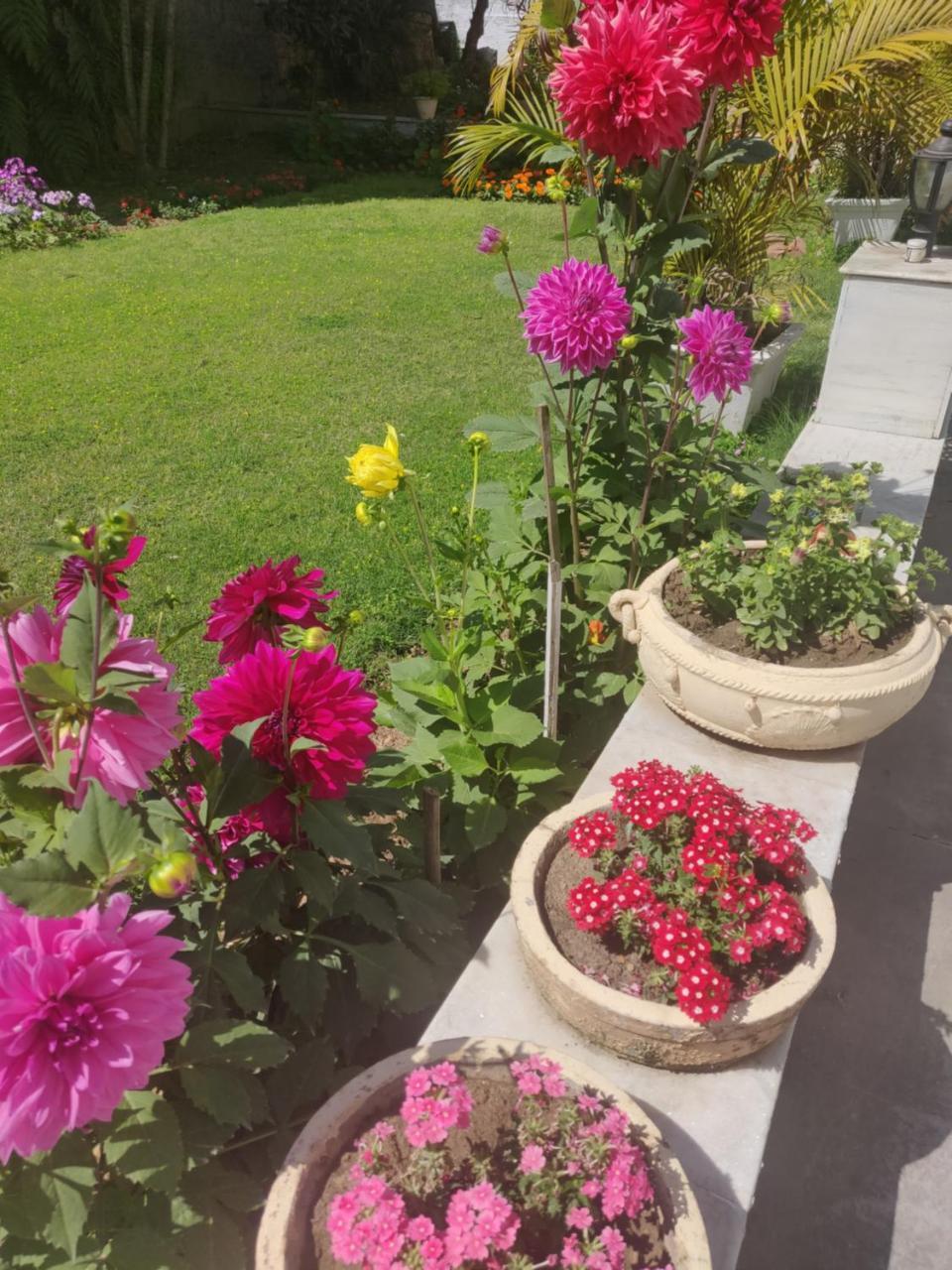 Heritage Homestay Jammu Esterno foto